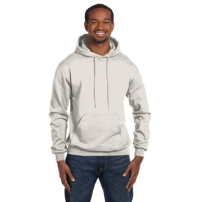 Champion 12 oz./lin. yd. Double Dry Eco Pullover Hood Hoodie | S700