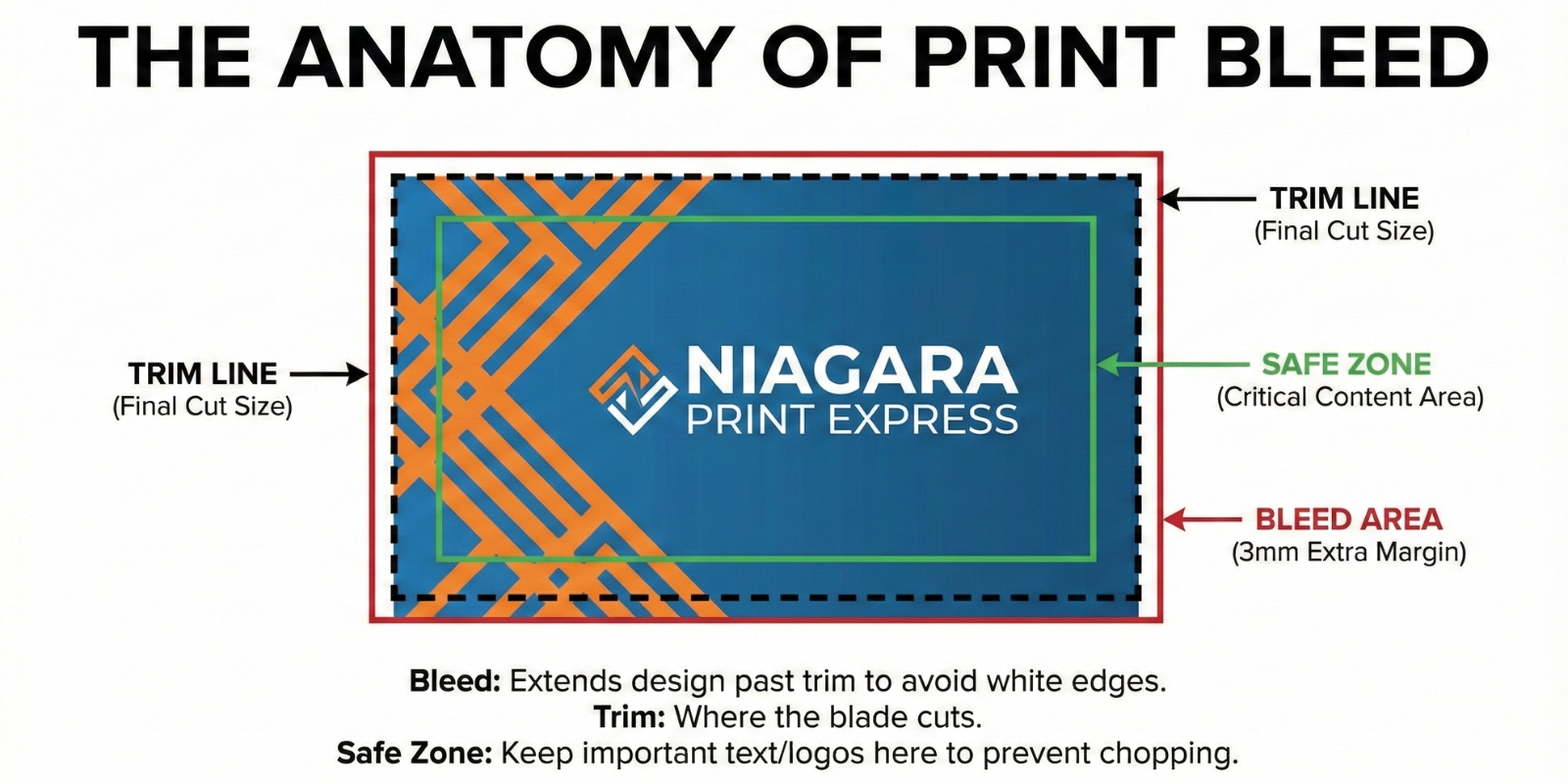 Infographic_ _The Anatomy of Print Bleed_ showing trim line, bleed line, and safe zone